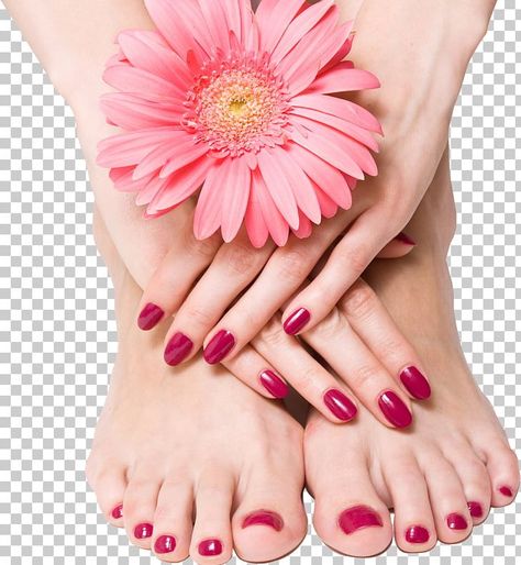 Nail Foot, Foot Pedicure, Spa Facial, Pink Manicure, Beauty Parlour, Manicure Gel, Beauty Parlor, Nail Health, December 21