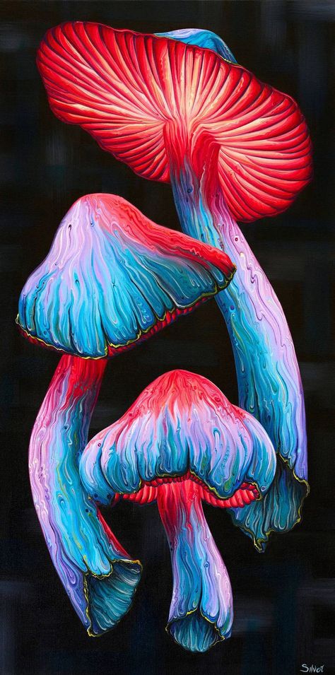 Baba Jaga, Psychadelic Art, Arte Inspo, Mushroom Art, Trippy Art, Hippie Art, Art Inspiration Painting, Painting Art Projects, Diy Canvas Art