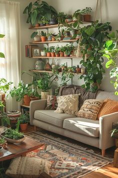 Living Room Filled With Plants, Home With Lots Of Plants, Living Room Plant Shelves, Living Room Designs With Plants, Green Theme Room, Indoor Sunroom Ideas, Living Room With Plants, Plant Living Room, Plant Rooms