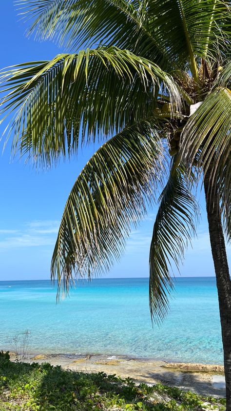 Cuban Beach Aesthetic, Cuba Aesthetic Beach, Cuba Aesthetic, Caribbean Summer, Cuba Beaches, Varadero Cuba, Island Wallpaper, Travel America, Cuba Travel