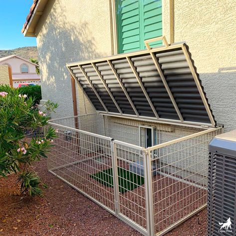 Contact Us - Coyote Proof Dog Runs Backyard Dog Area, Dog Potty Area, Dog Run, Alaskan Klee Kai, Dog Pen, Dog Potty, Dog Area, Animal Pen, Placing An Order