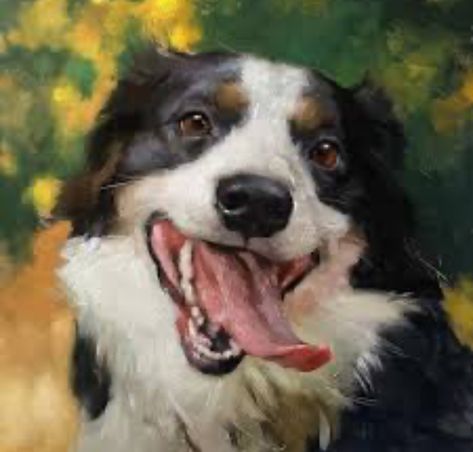 Border Collie Painting, Jennifer Gennari, Pet Portrait Paintings, Dog Portraits Painting, Pet Paintings, Dog Portraits Art, Dog Words, Paint Your Pet, Portraits Art