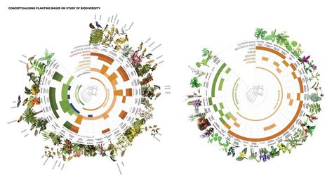 Godrej Rivergreens by StudioPOD — Landscape Architecture Platform | Landezine What Is Landscape Architecture, Landscape Architecture Presentation, Landscape Diagram, Landscape Architecture Diagram, Landscape Architecture Graphics, Linear Park, Planting Plan, Architecture Graphics, Landscape And Urbanism