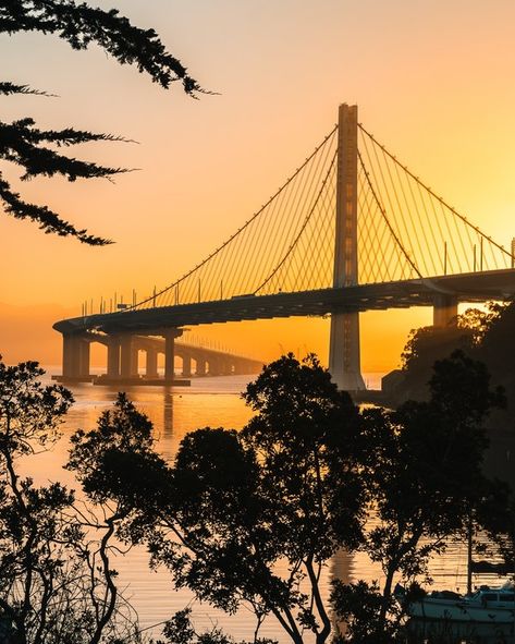 The Hella East Bay Guide: Where to Eat, Drink, Play + Stay Beyond the Bay Bridge Piedmont California, Bay Bridge San Francisco, London Square, Palace Of Fine Arts, Grand Lake, City Restaurants, Capture Photo, East Bay, San Francisco Bay Area