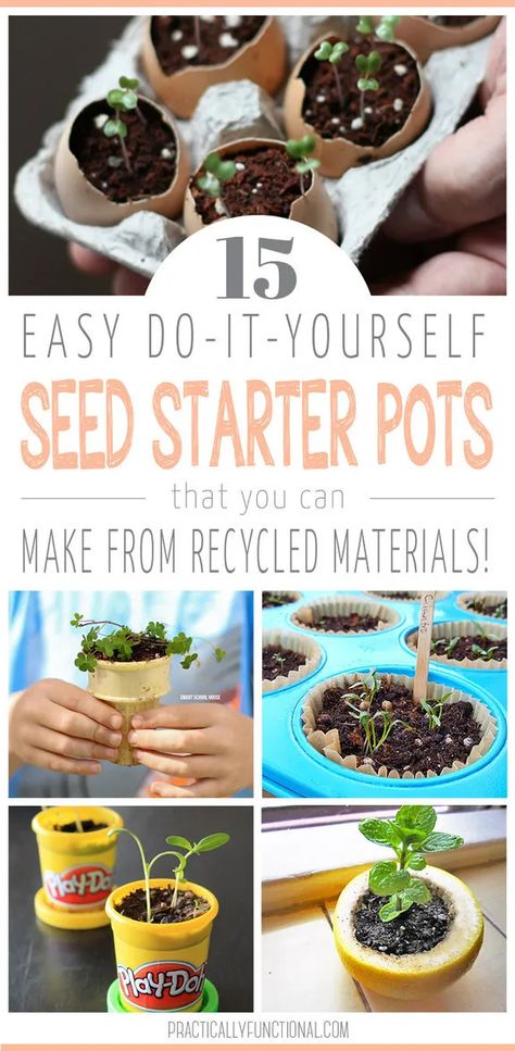 Diy Seed Starter, Seed Starting Containers, Seed Starting Soil, Seed Starters, Seed Starting Mix, Starting Seeds Indoors, Seed Packaging, Seed Starter, Recycling Containers