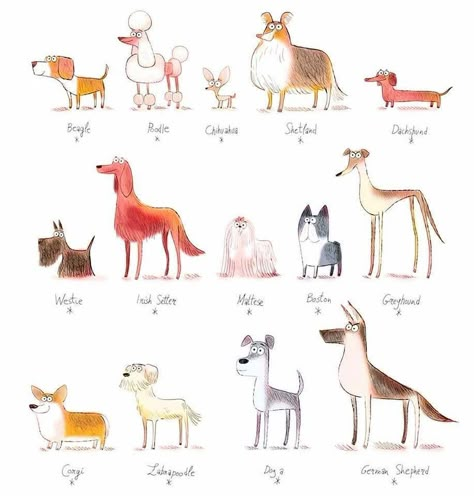 Character Design References Animals Drawing, Breeds Of Dogs, American City, Pet Illustration, Sewer System, Dog Sketch, Animal Doodles, 강아지 그림, Secret Life Of Pets