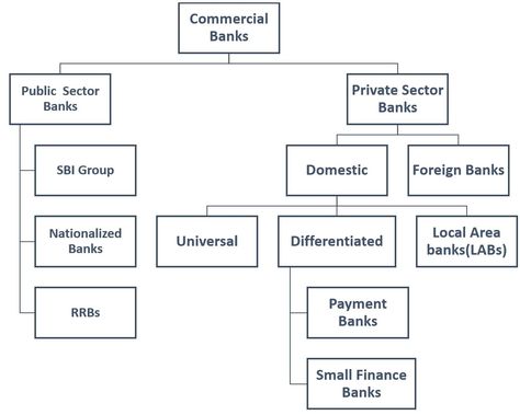 Read the complete article to know more about the Banking structure in india, functions of banks, rbi and its role, types of banks in india, merger of banks, etc Banking Knowledge, Rbi Bank, Commerce Notes, Indian Economy, Bank Of Baroda, Study Related, Union Bank, Finance Bank, Commercial Bank