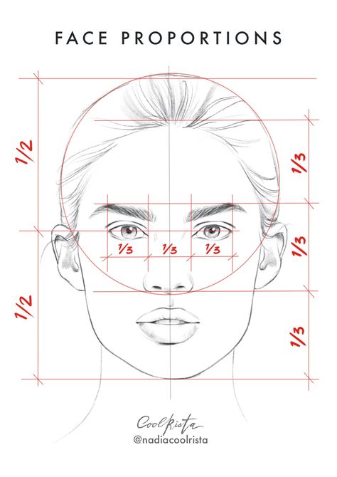 Front Face Drawing Tutorial, Basics Of Drawing A Face, Basic Of Drawing, Front Portrait Drawing, Front Facing Portrait Drawing, Face Ratio Drawing, Basic Face Sketch, Front Face Portrait, Front Face Sketch