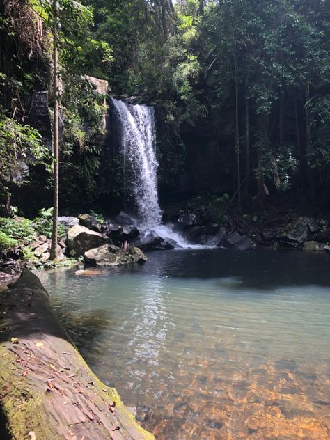 Tamborine Mountain Australia, Mt Tamborine Australia, Mt Tamborine, Tamborine Mountain, Hiking Photos, Mood Board, Beautiful Places, Hiking, Australia