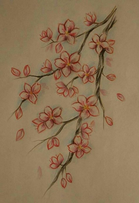 Flower Drawing Cherry Blossom, Cheery Blossoms Drawing Simple, Cherry Blossom Simple Drawing, Cherry Blossom Tree Drawing Pencil, Asian Drawing Sketch, Tree Flowers Drawing, Creative Things To Draw Sketchbooks, How To Draw Cherry Blossoms, Japanese Flower Drawing