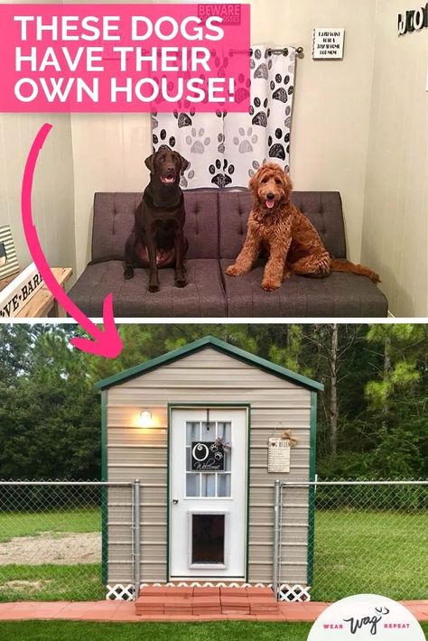 Heated And Cooled Dog House, Room For Dog In House, Dog House With Ac And Heat, Heated Dog House Diy, Diy Dog Shed House, Modern Dog House Outdoor, Dog House Shed, Diy Dog House Outdoor, Amazing Dog Houses