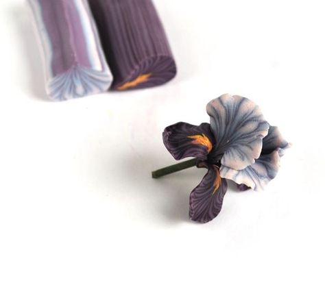 (15) HOP! Hooked on Polymer | Facebook Clay Iris Flower, Flower Polymer Clay, Fimo Polymer Clay, Clay Canes, Sculpey Clay, Polymer Clay Cane, Iris Flower, Polymer Clay Canes, Iris Flowers