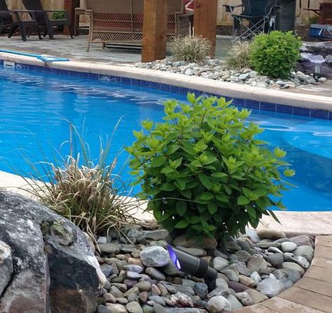 River Rock Pool Landscaping, Rock Beds Around Pool, River Rock Landscaping Around Pool, Rock Bed Around Pool, Rock Landscape Around Pool, Rock Garden Around Pool, Pool Patio Decorating Ideas Inspiration, Pool Planting Ideas, Pool Area Makeover