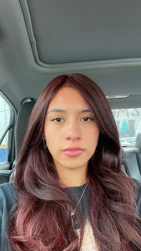 Wine Red Hair Pale Skin, Chocolate Cherry Hair Color Dark Brown, Dark Red Hair On Brown Skin, Dark Cherry Brown Hair, Red Tint Hair, Red Hair Pale Skin, Brown Hair Pale Skin, Cherry Brown Hair, Hair Stail