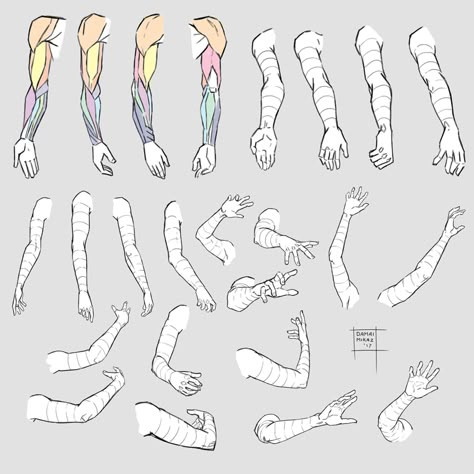 Sketchdump August 2017 [Arms] by DamaiMikaz Buy the artist a coffee! Arm Angles Reference, Art Reference Arms, Hand Arm References, Right Arm Reference, Anatomy Arms Reference, Arms Up Pose Drawing, Arm Study Drawing, Arms Sketch, Anime Arms Reference