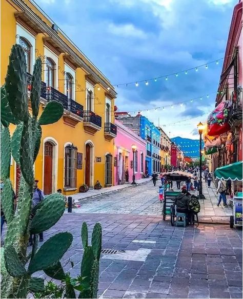 Oaxaca es una ciudad del centro de México conocida por sus edificios coloniales, muchos de los cuales se han construido con roca volcánica de color verde. Recorrer su centro histórico con sus calles empedradas, las casas del siglo XVIII con su arquitectura colonial, visitar sus museos y disfrutar de la gastronomía local, es un buen motivo para visitar a esta, ciudad, Patrimonio de la Humanidad. México 🇲🇽 Mexico Pictures, Immortal Soul, Architecture Icons, Mexican Restaurant, The Good Place, Street View, Mural, Architecture, Instagram