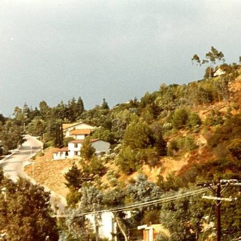 Laurel Canyon, California Rock And Roll History, 70s Aesthetic, Desert Sun, Laurel Canyon, Hollywood Hills, California Dreamin', California Dreaming, California Homes, Baby Booties