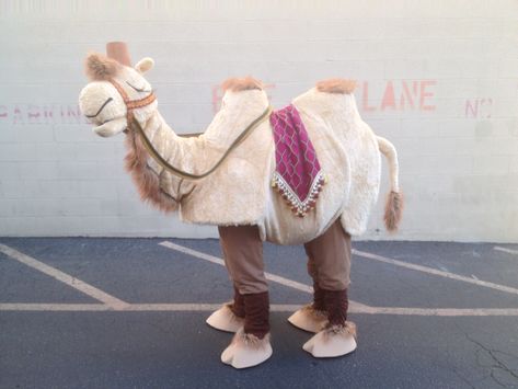 Camel Costumes Camel Costume, Joseph Costume, Aladdin Jr, Puppet Costume, Nativity Costumes, Camel Outfit, Aladdin Costume, Baby Camel, Cow Costume