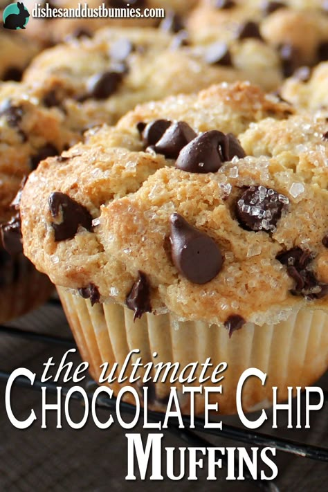 Fluffy Chocolate Chip Muffins, Chocolate Chip Muffin Recipe, Muffin Tops, Dust Bunnies, Chocolate Chip Muffins, Sweet Chocolate, Delicious Chocolate, Breakfast Casserole, Sweets Treats