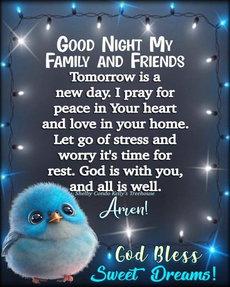 Day N Night, Good Night Family, Goodnight Quotes Inspirational, Good Night Cat, Good Night Prayer Quotes, Blessed Night, Beautiful Good Night Quotes, Tomorrow Is A New Day, Bedtime Prayer