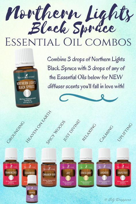 Combine Northern Lights Black Spruce with any of the oils pictured for NEW diffuser scents you will fall in love with! Northern Lights Blue Spruce Diffuser Blend, Northern Black Spruce Diffuser Blends, Northern Lights Black Spruce Diffuser, Northern Lights Black Spruce, Essential Oil Combos, Diffuser Scents, Young Living Oils Recipes, Living Oils Recipes, Black Spruce