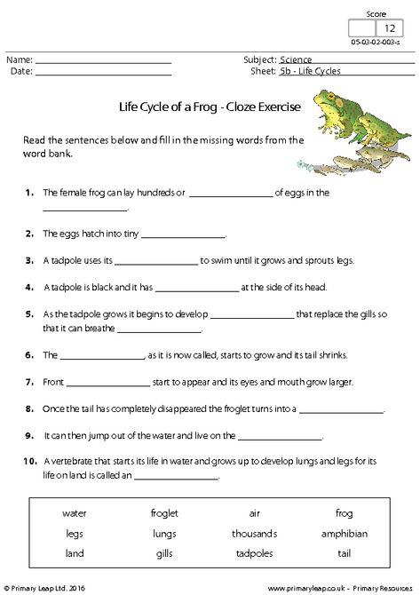 Click to close or click and drag to move Life Cycle Of Frog Worksheet, Life Cycle Of Animals Worksheet, Amphibian Worksheet, Frog Worksheet, Frog Life Cycle Activities, Life Cycle Worksheet, Plant Life Cycle Worksheet, Life Cycle Of A Frog, Science Life Cycles