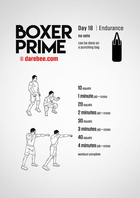 Boxer Prime, Boxer Workout, Boxing Workout Routine, Home Boxing Workout, Fighter Workout, Boxing Training Workout, Bag Workout, Boxing Drills, Mma Workout