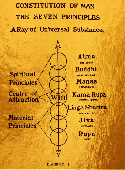 Theosophical Society, Body Diagram, Esoteric Art, Magic Lantern, Human Soul, Spirituality, Human, Quick Saves, Art