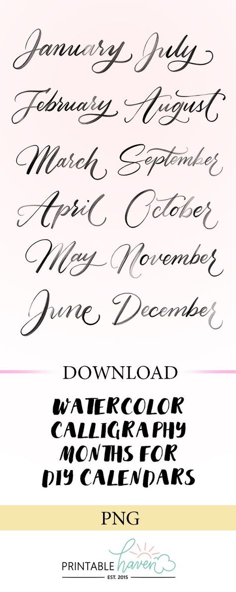 February Calligraphy, Calligraphy Months, Cursive Handwriting Worksheets, Writing Fonts, Watercolor Calligraphy, Hand Lettering Fonts, Hand Lettering Alphabet, Cursive Handwriting, Calligraphy Handwriting