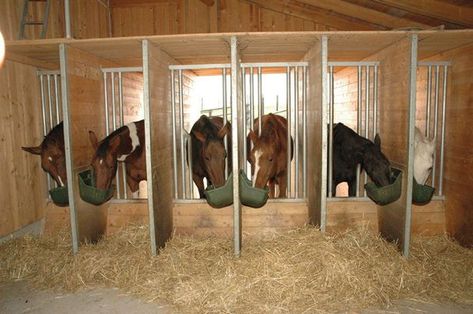 Horse Feeder, Horse Paddock, Horse Farm Ideas, Horse Barn Ideas Stables, Equestrian Clothes, Horse Barn Designs, Horse Shelter, Paddock Paradise, Run In Shed