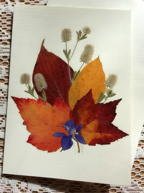 Fall Woods, Leaf Art Diy, Dry Leaf Art, Leaf Print Art, Pressed Flowers Diy, Feathers Art, Autumn Leaves Craft, Dried Flowers Diy, Leaf Projects