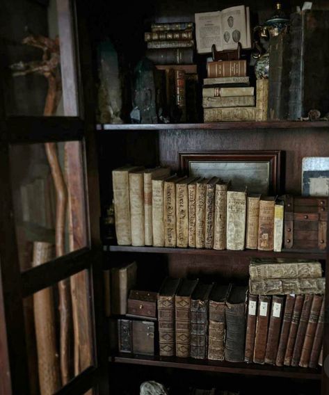 From @eikremk  on Instagram. Cottagegore Aesthetic, Goth Library, Dark Academia Vampire, Dark Academia Bookshelf, Apothecary Room, Gothic Library, Dark Acadamia, Dark Castle, Dream Library