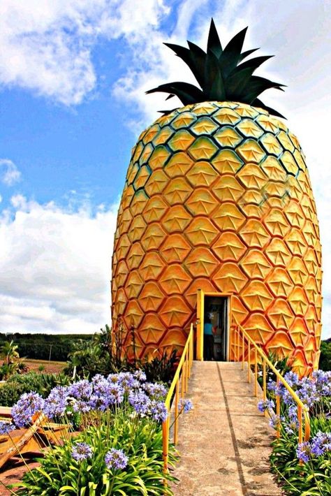 Big Pineapple in South Africa Sleepover Stuff, Lovely Houses, Big Pineapple, Nook Decor, Beach House Living Room, Observation Deck, Unusual Buildings, Unusual Homes, Unique Buildings