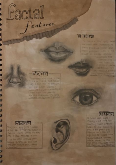 Portraiture Gcse Sketchbook, Portraiture Mind Map Art, Gcse Art Interactive, Final Peice Ideas Art Gcse Nature, Gcse Art Facial Features Page, Facial Features Sketchbook Page, Human Body Gcse Art, Gcse Art Portraiture Mindmap, Gcse Art Front Page