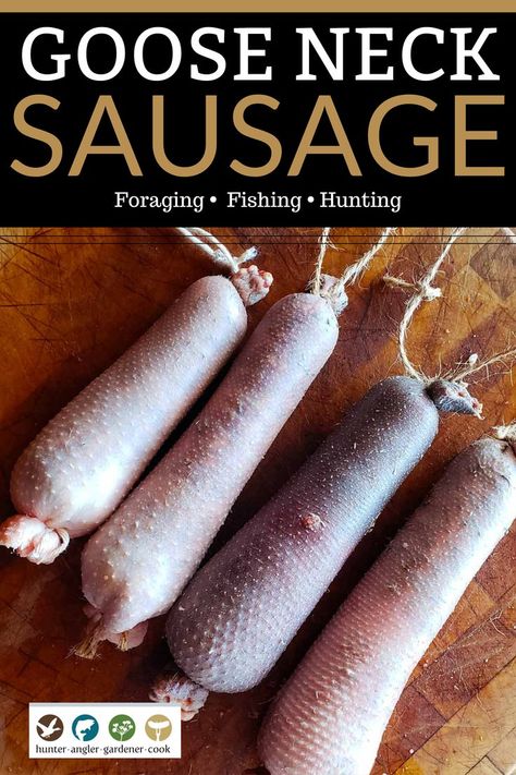 Categorize cou farci, or goose neck sausage, under “hardcore wild game recipes.” Making sausages using a bird’s neck as a casing was something I “invented” back in 2007, when I was struck by how perfect a goose’s neck would be as a sausage casing. Alas. As the Romans put it, nothing is new under the sun. It seems the French do this around Gascony; I found a reference to the practice in Paula Wolfert’s Cooking of Southwest France. | @huntgathercook #hankshaw #gooserecipes #goosehunting Goose Summer Sausage Recipes, Goose Recipes Wild, How To Cook Goose, Fish Sausage, Cooked Goose, Smoked Goose, Beef Cuts Chart, Duck Sausage, Goose Recipes