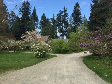 Milner Garden. Qualicum Beach, BC. Sombrio Beach Bc, Chesterman Beach Tofino, Qualicum Beach Bc, Botanical Beach Vancouver Island, Crystal Beach Ontario, British Columbia, Favorite Places