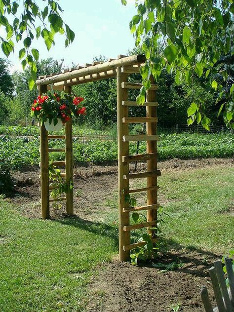 Grape Arbor, Wooden Arbor, Landscape Timbers, Garden Vines, Garden Arches, Garden Arbor, Have Inspiration, Garden Trellis, Garden Structures