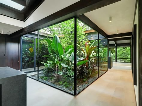 Indoor Terrarium Room, Home Atrium Ideas, Atrium In House, Atrium House Indoor, Home Atrium, Plants Decoration Ideas, Indoor Courtyard, Atrium Design, Courtyard Gardens Design