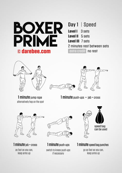 Boxer Prime Day 1, Beginner Boxer Workout, Boxer Prime, Boxer Abs, Boxer Workout, Boxing Workout Routine, Boxing Routine, Boxing Workout Beginner, Boxing Workouts