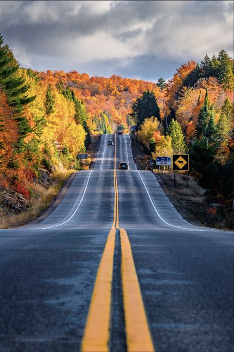 Magical Pathways, Ontario Parks, Blowin' In The Wind, City Road, Beautiful Park, Beautiful Photos Of Nature, Favorite Season, Camping Life, Ontario Canada