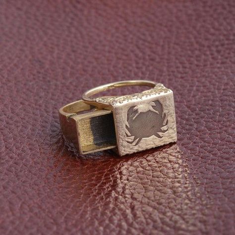 Zodiac Signet Ring,secret Compartment Ring Ring,zodiac Sign Symbol Ring, Signet Ring, Zodiac Ring, Astrology Horoscope Ring, Zodiac Jewelry - Etsy Ring Astrology, Libra Balance, Handmade Jewelry Display, Gemini Twins, Aries Ram, Blue Stones Jewelry, Taurus Bull, Leo Lion, 21 June