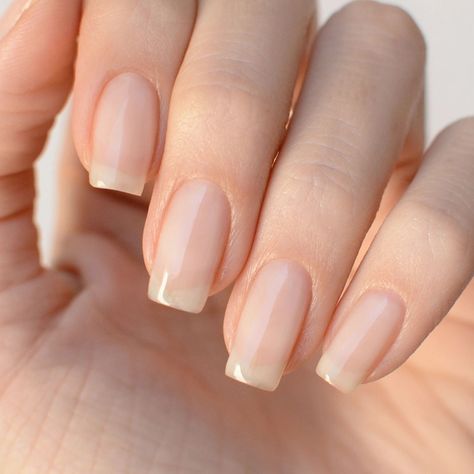 Our Milky Top Coat is designed to achieve the Milky Bath effect on any nail polish, leaving a whitish, translucent layer over the color. It is applied like a traditional top coat, is non-wipe, and can be easily removed with Gel Remover. This formula provides a unique translucent finish that can be used over any gel polish for a distinctive look. For the best results, ensure that the Milky Top Coat is applied over a well-prepared and cured surface to maximize the effect and durability of your man Milky Nail Polish, Milky Nails Gel Polish, Sheer Milky Pink Nails, Best Milky Pink Nail Polish, Press On Nails Milky, Sheer Milky White Nail Polish, Taupe Nails, Gel Remover, Manicure Colors