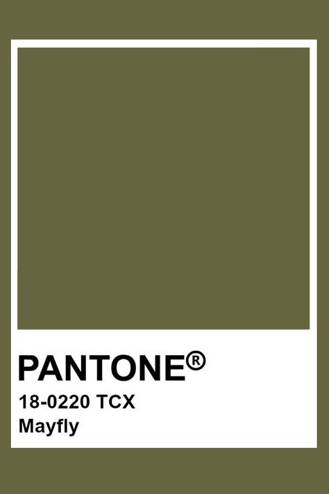 Olive Green Pallette, Pantone Color Chart, Pantone Swatches, Color Knowledge, Martini Olives, Good Color Combinations, Colour Board, Pantone Color, Color Theory