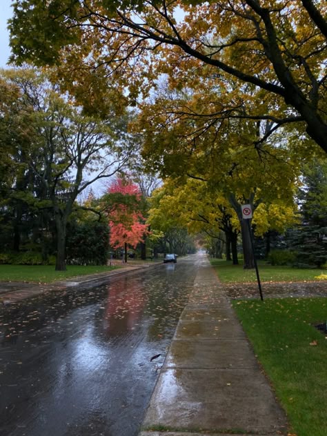 Rainy Neighborhood Aesthetic, Rainy Fall Aesthetic, Fall Neighborhood, Neighborhood Aesthetic, Cozy Aesthetics, Moody Autumn, Dark Victorian, Rain Aesthetic, Lovely Places