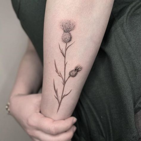 Black Thistle Tattoo, Thistle Arm Tattoo, Fine Line Scottish Thistle Tattoo, Scotland Thistle Tattoo, Thistle Tattoo Fine Line, Scottish Thistle Tattoo Simple, Fine Line Thistle Tattoo, Thistle Tattoo Black, Thistle Flower Tattoo