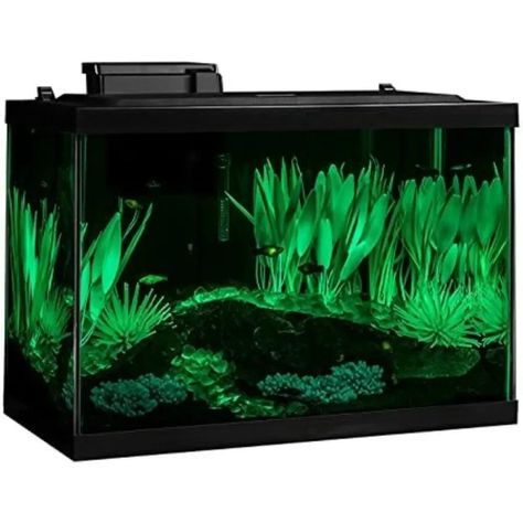 Looking to add a stunning centerpiece to your home or office? This 20-Gallon Fish Tank Kit is perfect for creating a serene underwater world while enhancing your space. Complete with LED lighting and décor, it offers everything you need to start your aquarium journey, from relaxing ambient light to a beautifully designed habitat for your fish. Whether you’re a first-time fish owner or a seasoned aquarist, this kit makes it simple to set up and maintain. Create your own slice of nature today a... 20 Gallon Fish Tank, Fish Bowl, Underwater World, Aquarium Fish, Anemone, Led Lighting, Ambient Lighting, Fish Tank, Small Pets