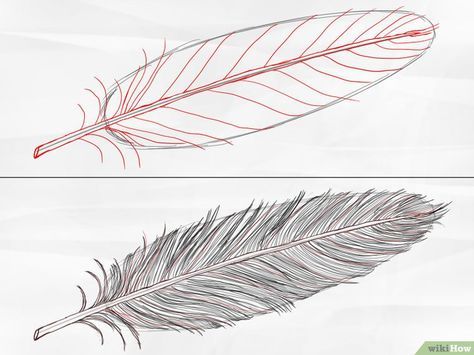 How to Draw a Feather: 8 Steps (with Pictures) - wikiHow Feather Sketch, Feather Drawing, Watercolor Feather, Feather Painting, Feather Art, Bird Drawings, Zentangle Art, Linoleum, Step By Step Drawing