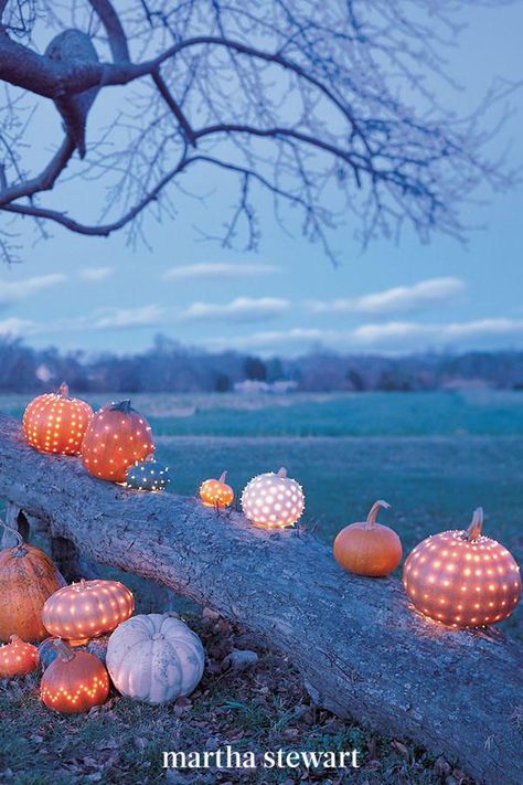 What awaits guests in the darkness? Pumpkin lanterns that delightfully brighten up an evening affair. Drill tiny holes into each one, then use strings of white lights to illuminate them. #weddingideas #wedding #marthstewartwedding #weddingplanning #weddingchecklist Easy Pumpkin Ideas, Pumpkin Wedding Decorations, Diy Pumpkin Carving, Pumpkin Idea, Glittery Pumpkins, Pumpkin Lanterns, Fall Ball, Pumpkin Wedding, Pretty Pumpkins