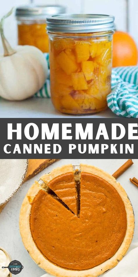 This step-by-step tutorial will teach you about Canning Pumpkin safely in a pressure cooker. Preserving pumpkins give you so many recipe options – pumpkin puree, pie filling, or even pumpkin butter.