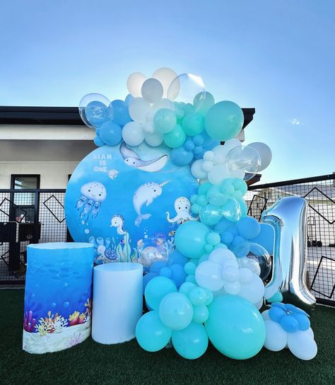 oneder the sea 🫧 . . . . . . . . #balloonbouquet #balloonbouquets #partydecor #balloons #balloongarland #phoenixaz #partysetup #party #birthdaydecor #birthdayparty #festa #balloonhacks #balloongarlandsdiy #balloongarlnddiy #diy #ballooncolumns #partytable #kidtable #kidsparty #colorfulparty #boyparty #underthesea #onederthesea Balloon Seaweed, Balloon Hacks, Oneder The Sea, Party Setup, Under The Sea Party, Balloon Columns, Kid Table, Balloon Bouquet, Colorful Party